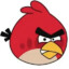 Anger Chicken
