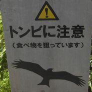 zou3tokirin3