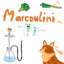 Marcoulini