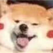 影流与她都是劫496