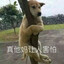 seller
