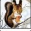 LittleSquirrel