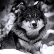 MadDawg - steam id 76561197971715611