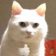 硪的人硪用命嗳。