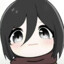 Mikasa