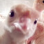 ꑭ✇Mar1x︻デ 一✇ꑭ