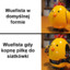 Tomtenkss