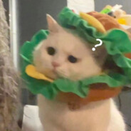 情话诉于山鬼听