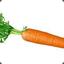 BOT Carrot