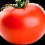 O TOMATE