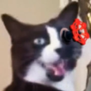 Sam avatar