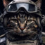 BAKS CSGOSKINS