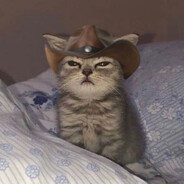 Outlaw_Kitty