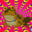 HypnoToad [1x11]