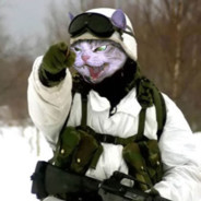 SgtMeowMeow