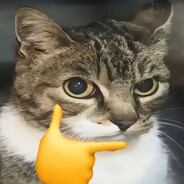 打赢我一定要打赢生活