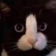 alaskagodx - steam id 76561198079498555