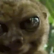 lazylemur