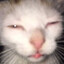 t0mmins-
