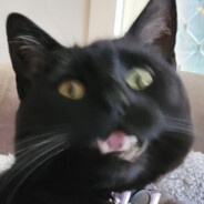 Zeldo