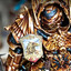 Liquidus Talon