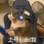 小白大帝