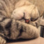 Shiza