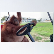 MONKEY RIDE GOLFKART avatar