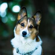 常威你还说你不会武功