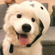 你算那块小饼干