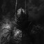Ronin
