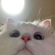 Tweex's Steam avatar