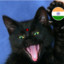 Indian Kat