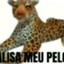 tapa na pantera's avatar