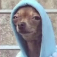 apuraeltramiteotcortolaverga