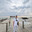 hiped_fans