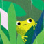 aisafrog