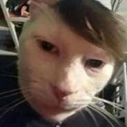 ووجديغز