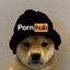 Pornhub doggo