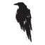 crow.