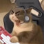 Лужа
