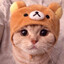Котик Удодов