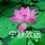 屎山疯蝇