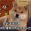 渣男的眼泪