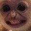 Retarded Monkey