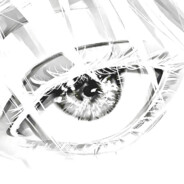 zintrak Steam avatar