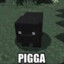 pigga