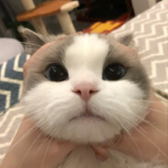 安徒生丢了童话