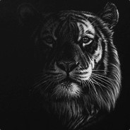 steam - steam id 76561197961173152