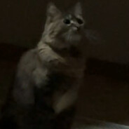 Bilbean